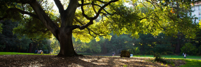A banner of an image of a people enjoying a day in the park.