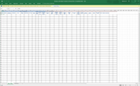 An image of the Emergency Grant template.