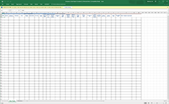 An image of the Emergency Grant template.