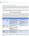 Image of Verification Support Plan document.