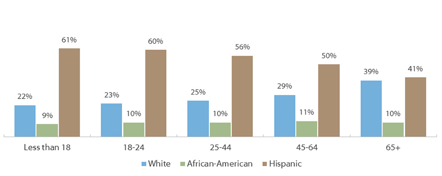 Projected* 2050 Population by Age and Ethnicity in Texas