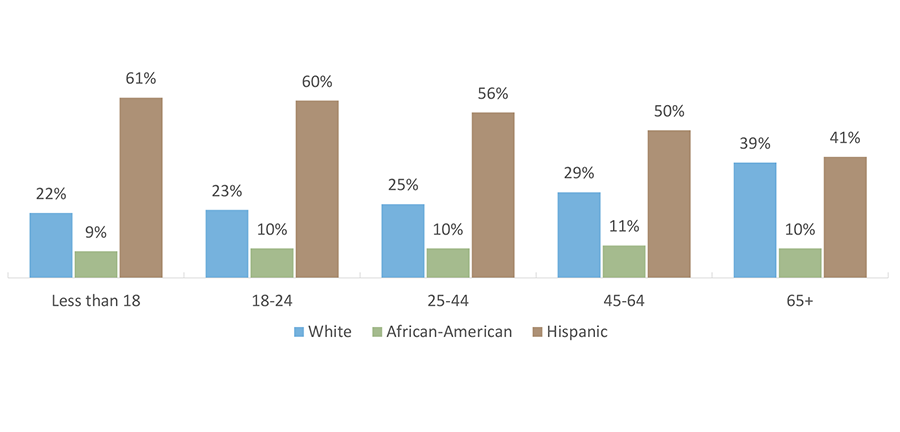 Projected* 2050 Population by Age and Ethnicity in Texas