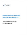 An image of the cover page of the Cohort Default Rate and Borrower Risk Analysis template.