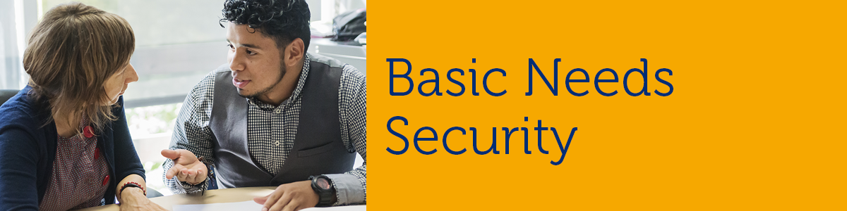 An image representing "Basic Needs Security".