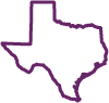 Section 1: Texas Demographics